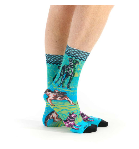 Chaussettes Dogs marque Ruban Rouge