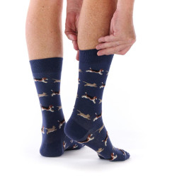 Chaussette chien et chat