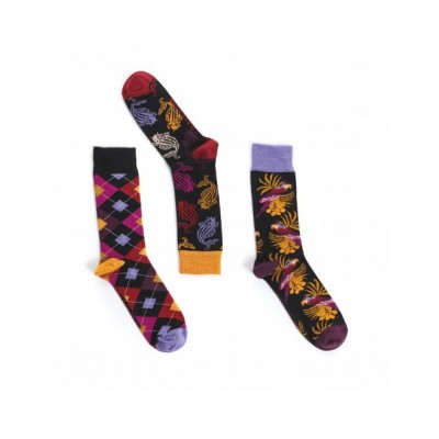 lot de 3 paires de chaussettes homme Cacatoès marque Ruban Rouge