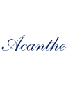 ACANTHE